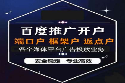 SEM推广优化实战：案例分析与启示